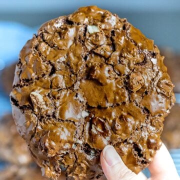 big chocolate cookie held in hand