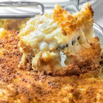 spoonful of southern baked mac and cheese with a golden brown breadcrumb topping
