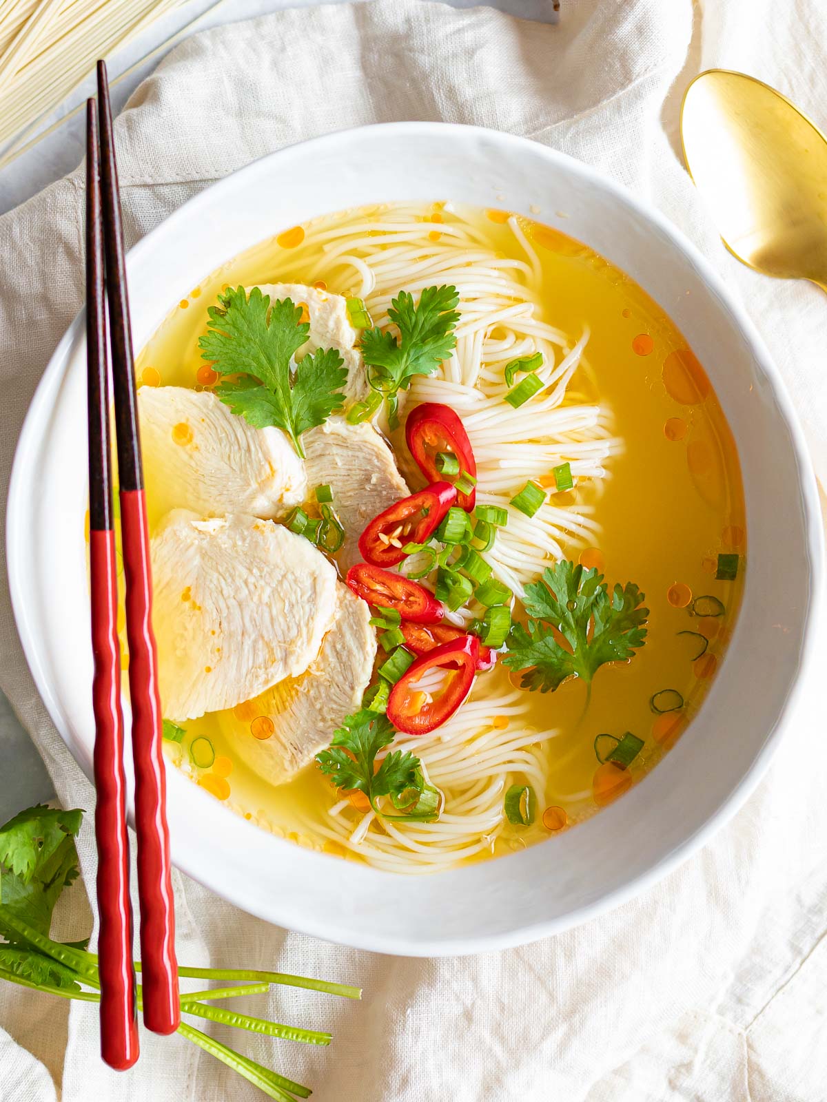 20 Minute Asian Chicken Noodle Soup