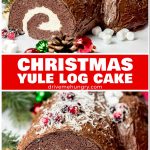 Christmas Yule Log cake