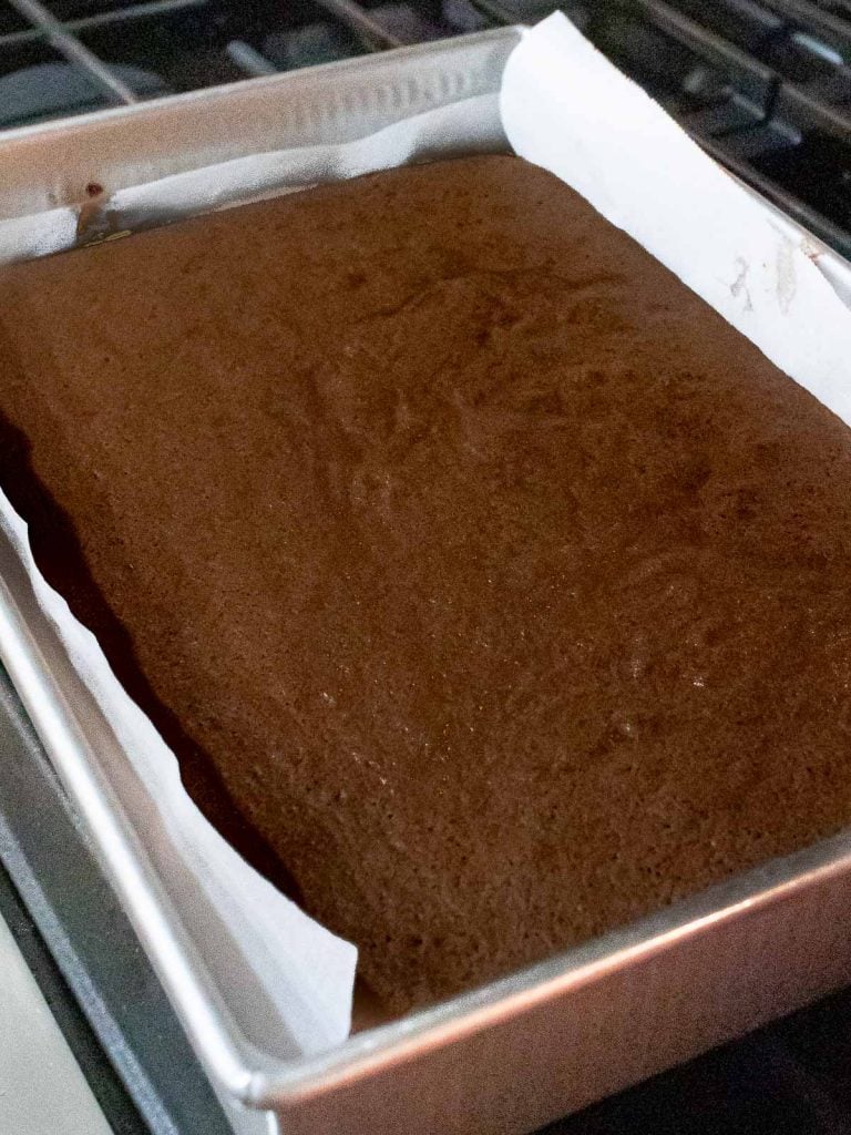baked chocolate sponge cake in a baking pan