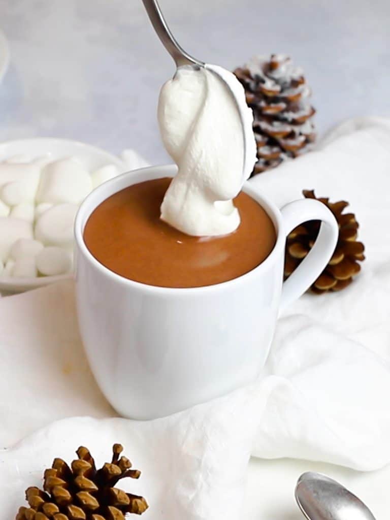 homemade hot chocolate topped with whipped cream