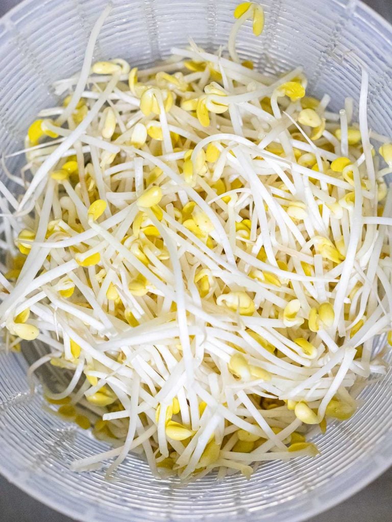 soybean sprouts in a colander