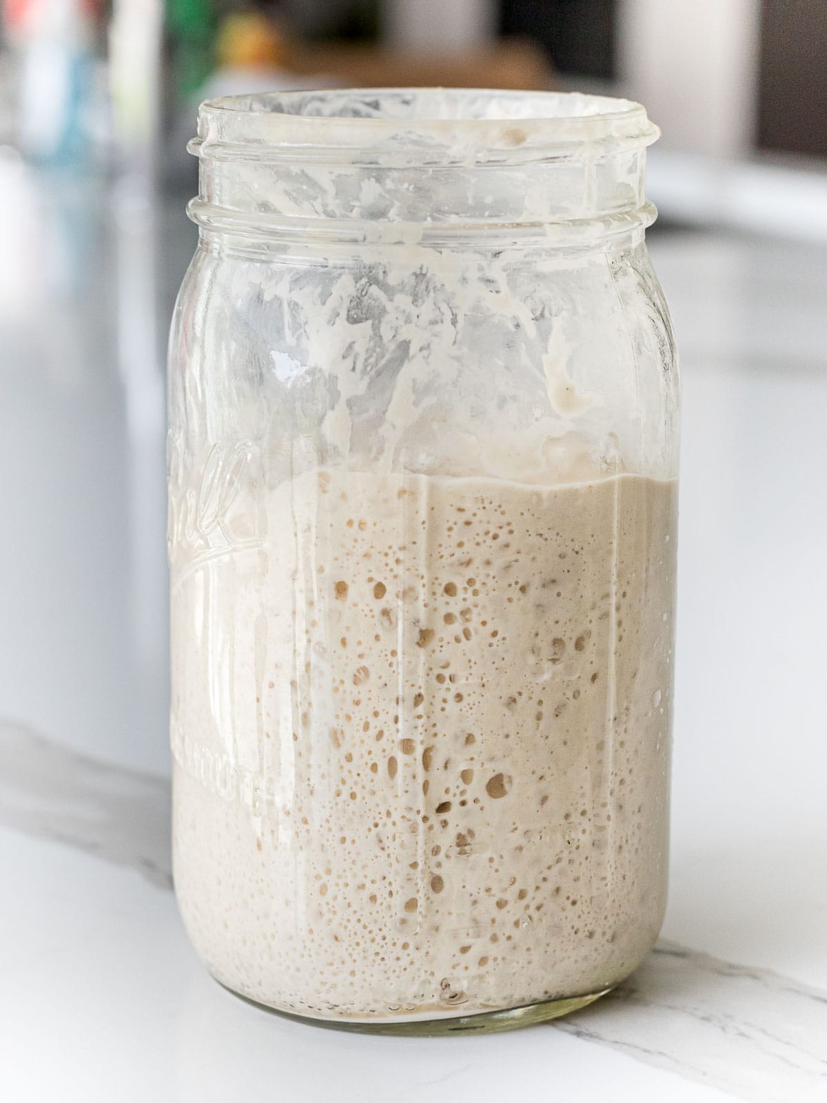 wild yeast sourdough starter showing signs of activity after a feeding