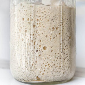 close up of active sourdough starter in a glass jar
