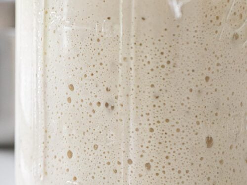 close up of active sourdough starter with little bubbles forming