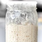 sourdough starter 2 ways with a photo of bubbly starter in a glass mason jar