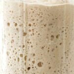 how to make sourdough starter text with a photo of an active starter with bubbles