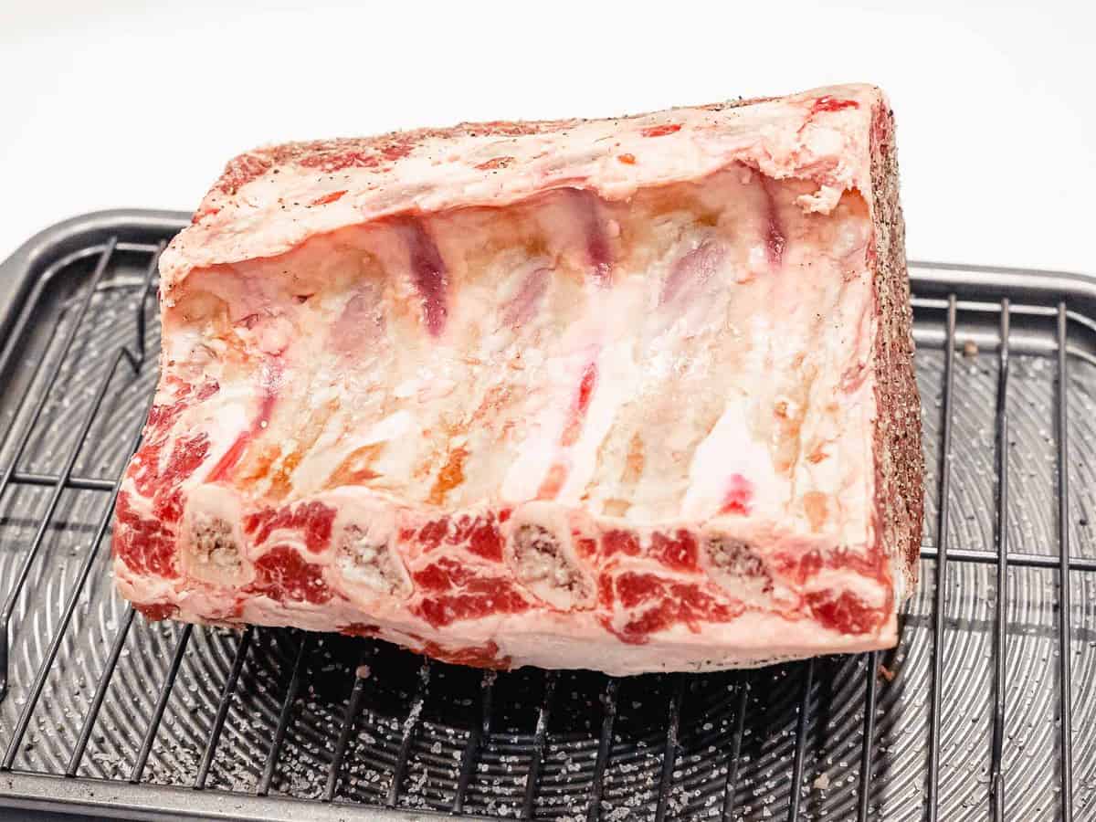 Prime rib with bone or standing rib roast on a baking sheet with a rack prior to roating covered in a salt and pepper rub.