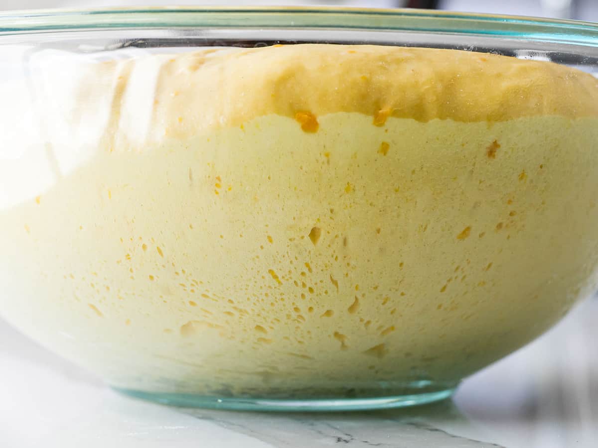 Pumpkin bread dough rising in a glass bowl.