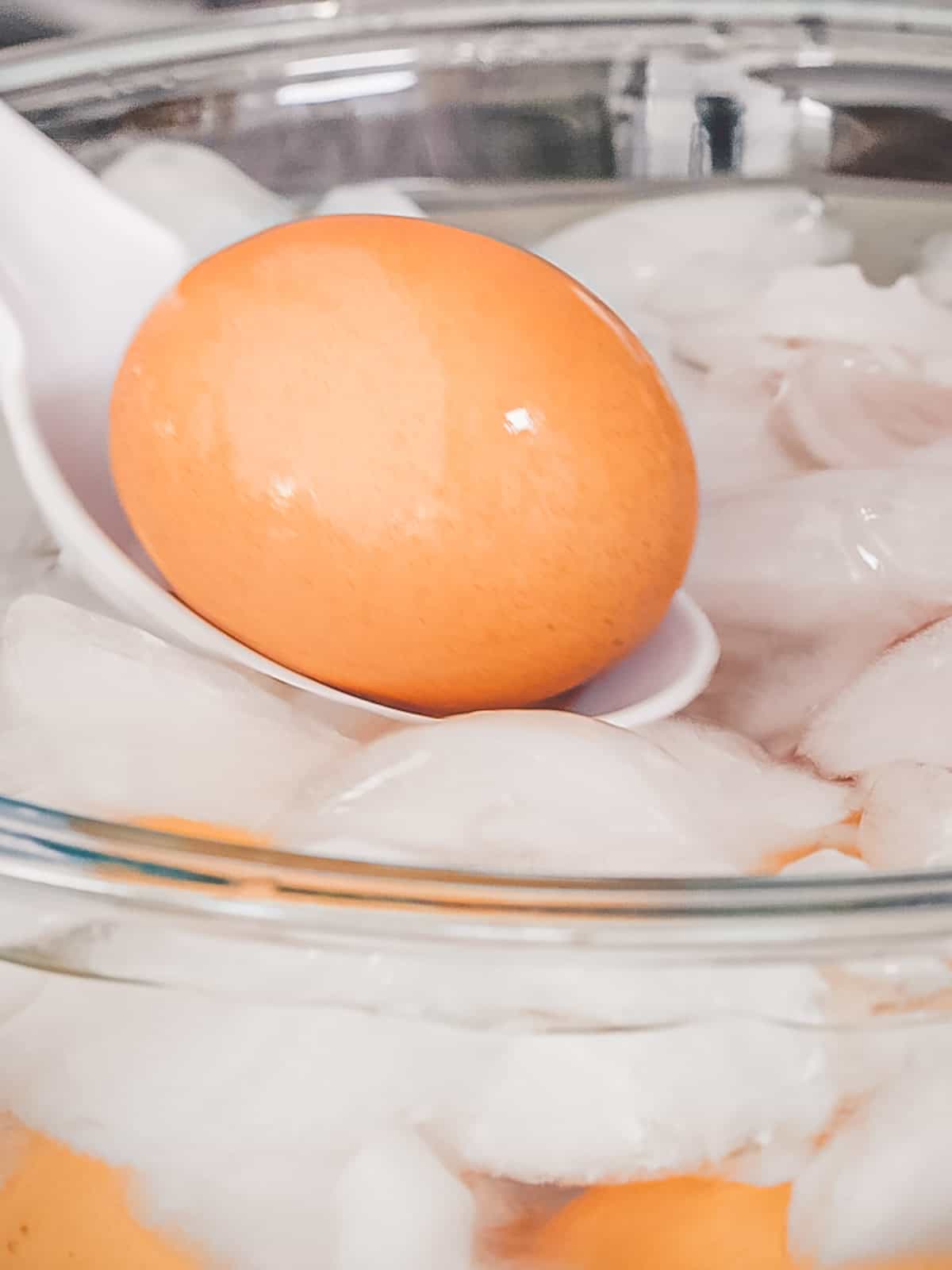 Soft boiled egg placed in an ice bath to stop cooking.
