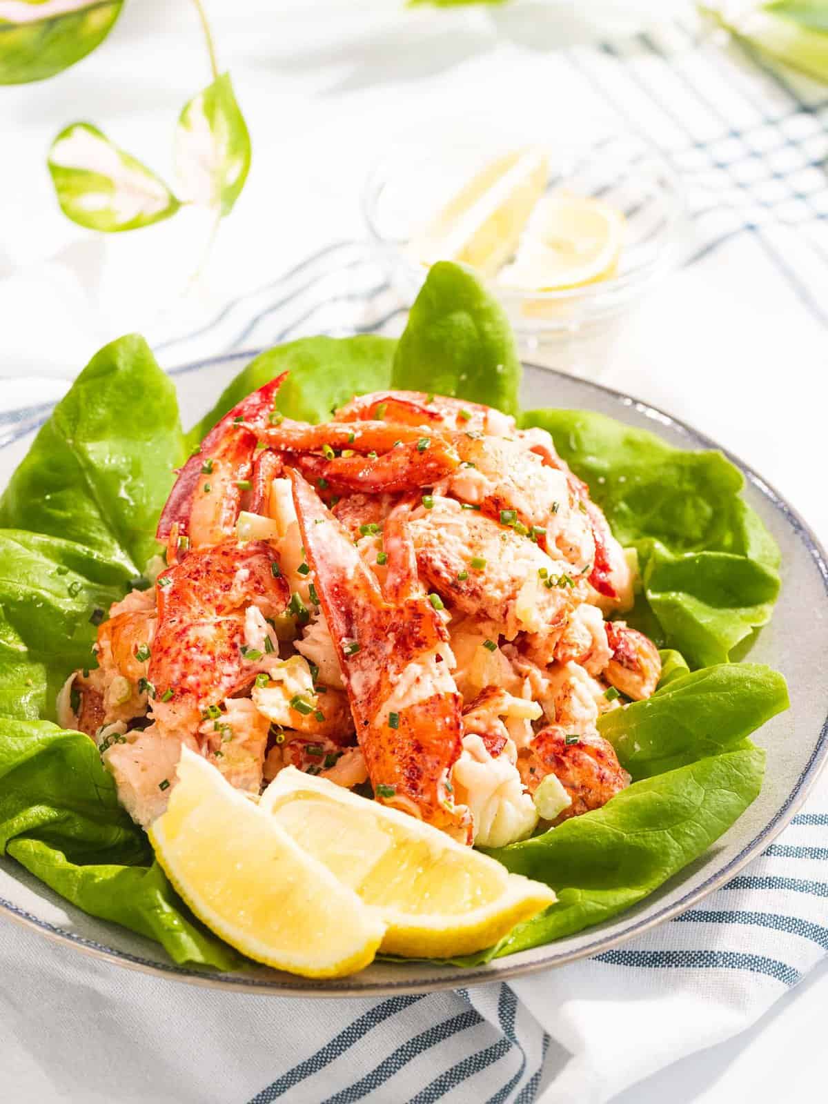 Lobster salad with mayo dressing on top of lettuce.