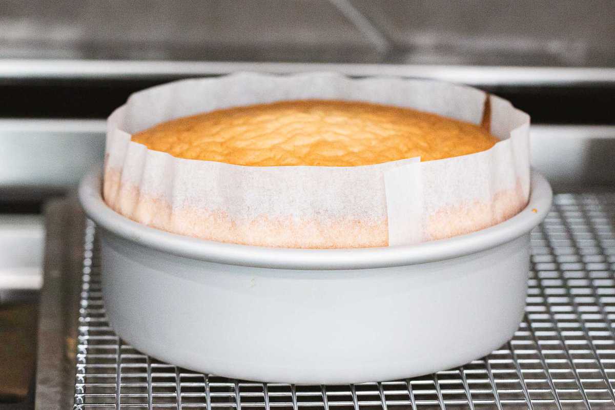 Baked genoise in a baking pan with parchment paper.