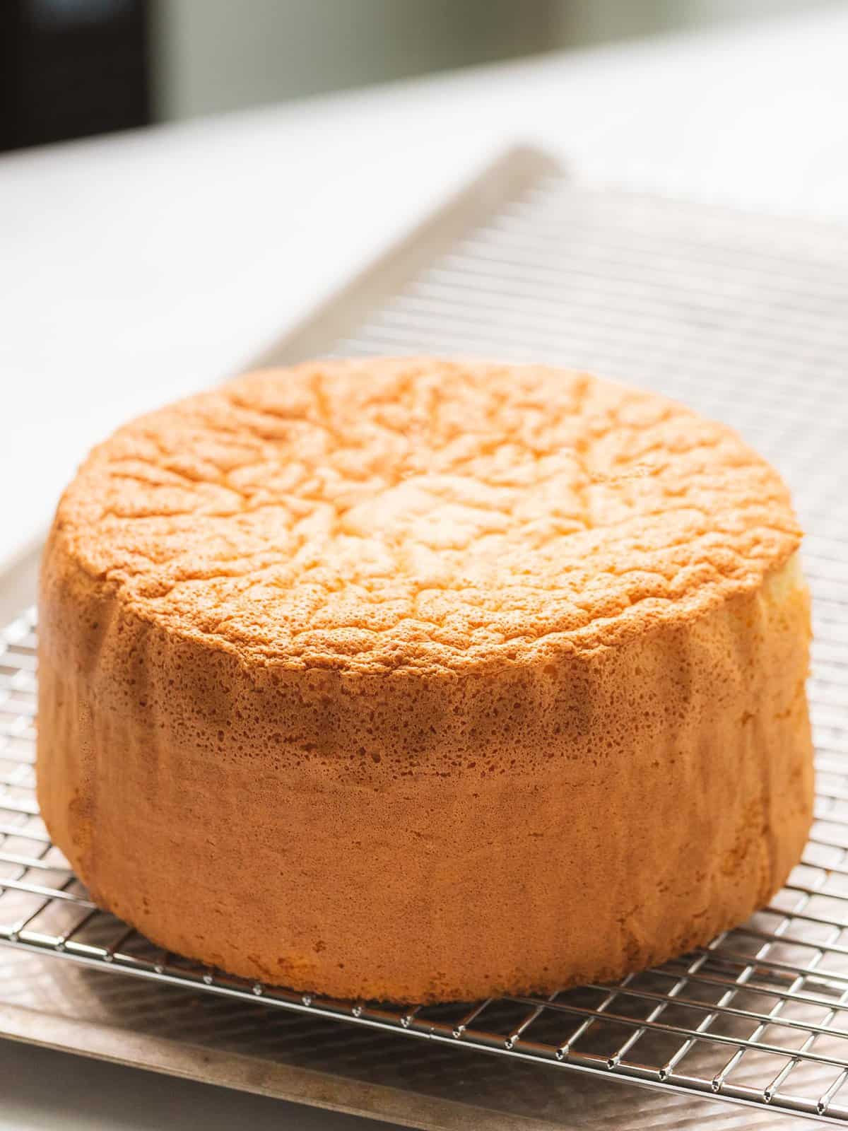 Soft and fluffy genoise sponge on a cooling rack.