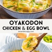 Oyakodon or chicken and egg rice bowl.