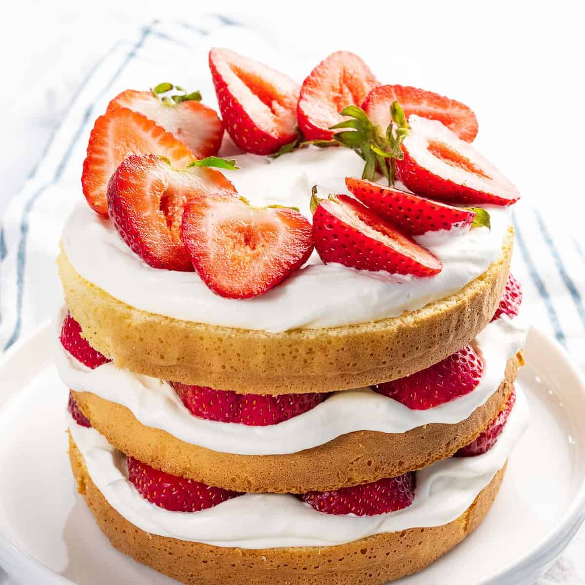 Strawberry cake with fresh strawberries and whipped cream.
