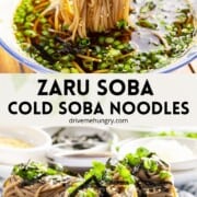 Zaru soba or cold soba noodles with text.