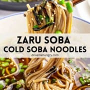Zaru soba or cold soba noodles with text.