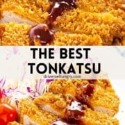 The best tonkatsu with text overlay.