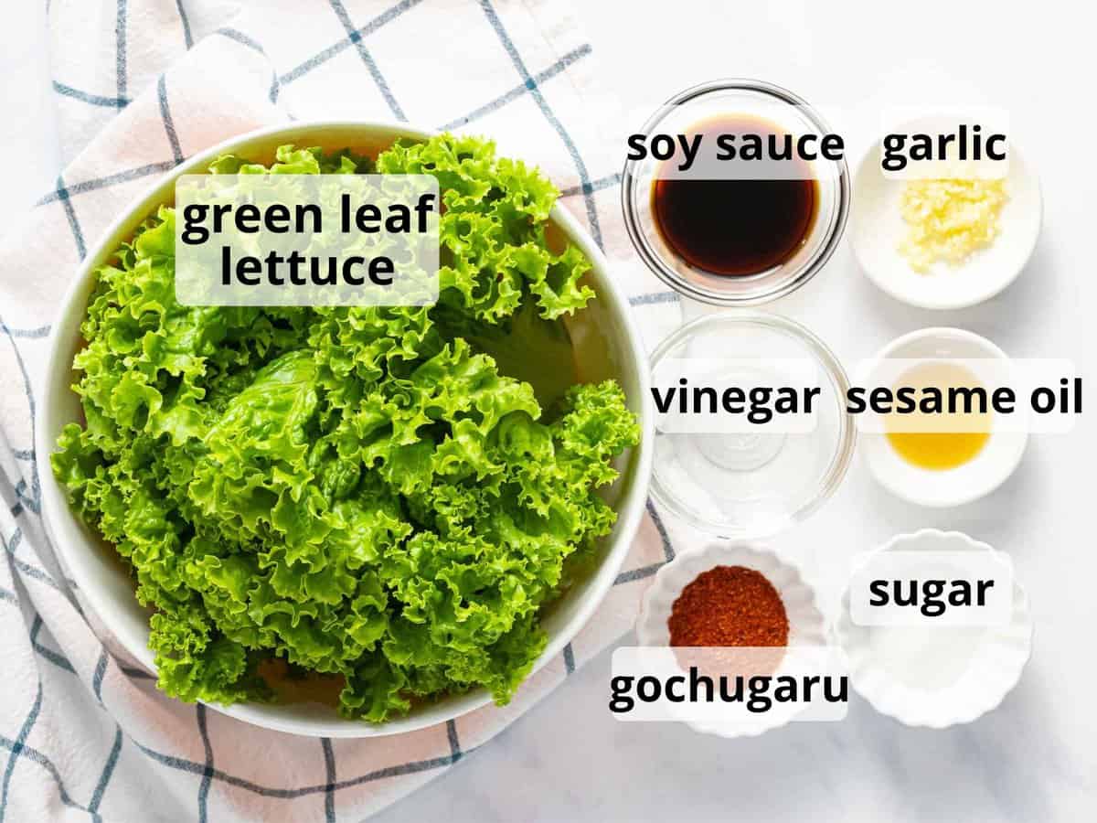 Ingredients for Korean lettuce salad and salad dressing.
